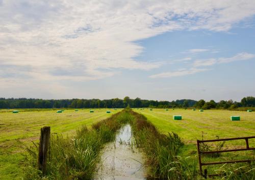 Paesaggio naturale nelle vicinanze del bed & breakfast