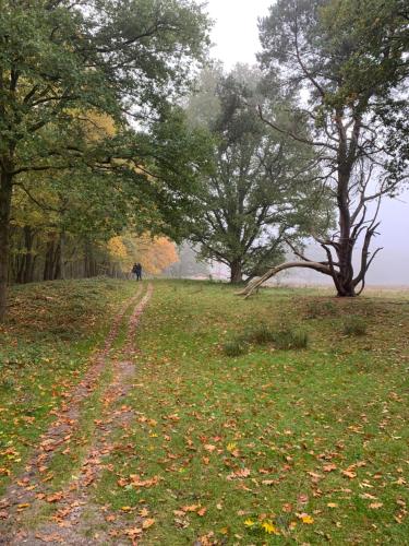 Paesaggio naturale nelle vicinanze del bed & breakfast