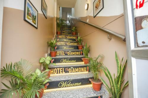 a stairway with potted plants on it at FabExpress Diamond Sec 45 in Chandīgarh