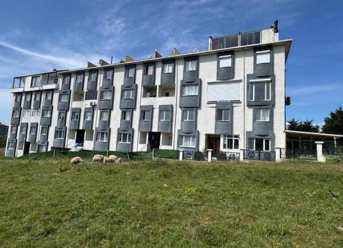 a large building with sheep in front of it at Lina Apart in Arnavutköy