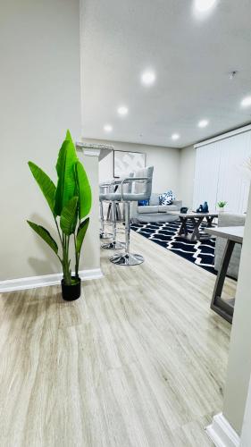 a office with a plant in the middle of a room at Comfort Escape, rooms in Charlotte with shared common spaces in Charlotte