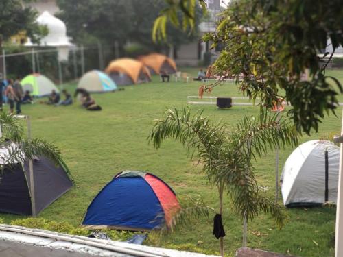 a group of tents in a field with a tree at Moondance Hostel & Garden Restaurant in Pushkar