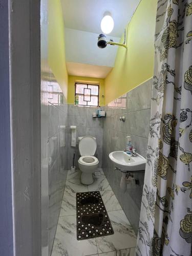 a bathroom with a toilet and a sink at Kileleshwa studio in Nairobi