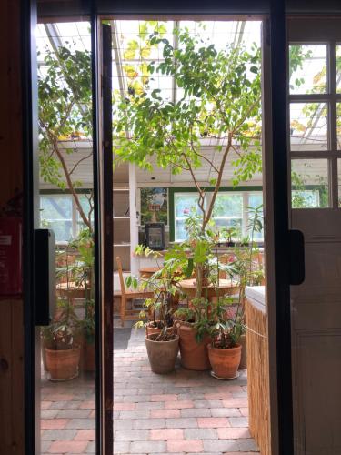 an open door to a patio with potted plants at STF Växhuset Hostel in Bodarne