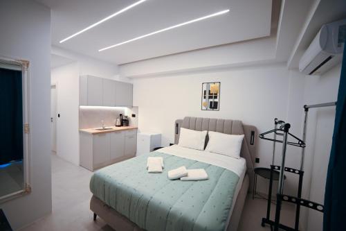 Erato Pedion Areos Suite by Zeus Suites