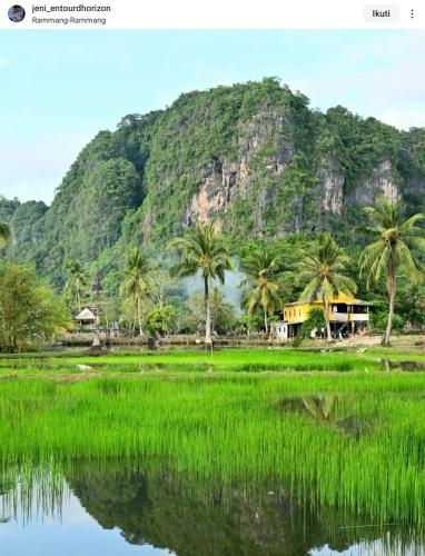 a house in a rice field with a mountain in the background at Rammang Rammang Guest House in Kasijala