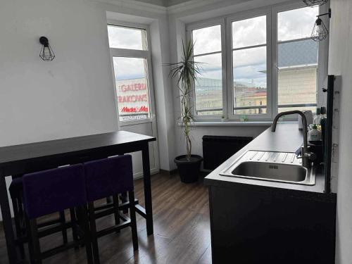 a kitchen with a sink and a table and two windows at Greg&Tom Hostel in Kraków