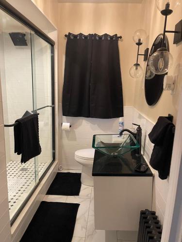 a bathroom with a shower and a toilet and a sink at Lasourceodan in Elmont