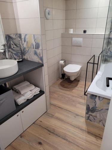 a bathroom with a sink and a toilet at Le Moulin des Puys in Orcines