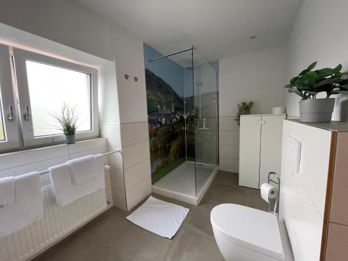 Un baño con ducha de cristal y un inodoro. en Gaestehaus Kön - Fewo Farfalle, en Zeltingen-Rachtig