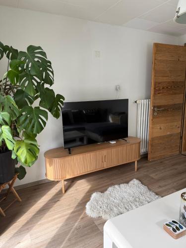 Apartment Cristal
