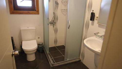 a bathroom with a toilet and a shower and a sink at Fatsa Belediyesi Çerkezler Tepesi Bungalov Otel in Fatsa