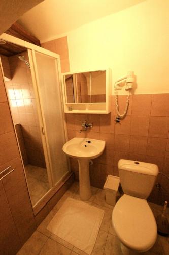a small bathroom with a toilet and a sink at Hotel Kapitán in Žatec