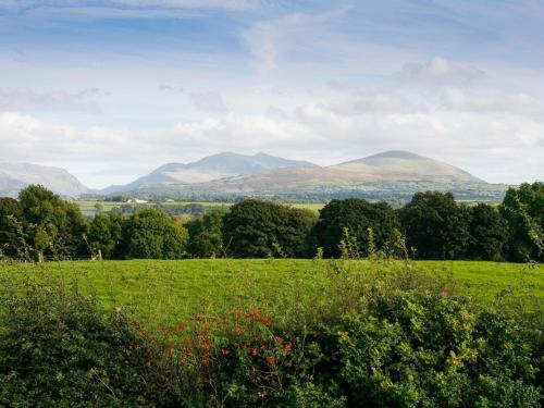 a green field with mountains in the background at Trigfa in Brynsiencyn