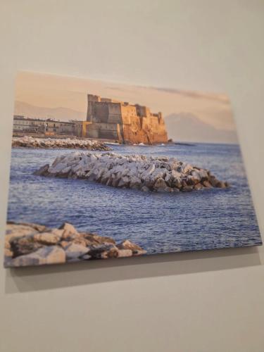 La Rosa di Napoli