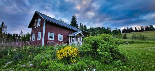ein kleines Holzhaus auf einem Feld mit Blumen in der Unterkunft Aurora Cottage Åre Järpen 
