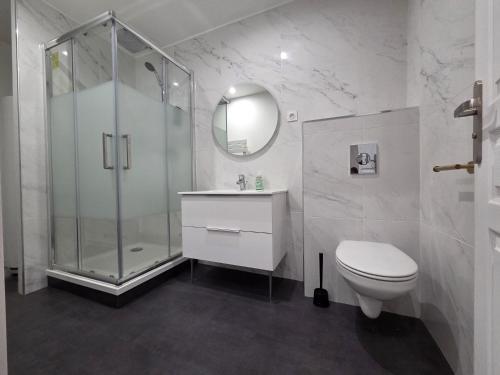 un bagno bianco con doccia e WC di Charmante maison de pierre rénovée a 5min de Charleville-Mézières a Saint-Marceau