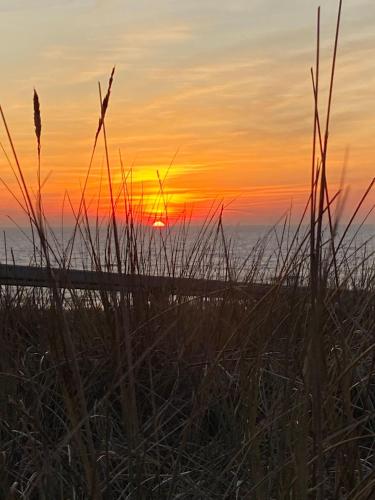a sunset on the beach with tall grass at Ocean-View-II-Holiday-Apartments-Sylt in Rantum