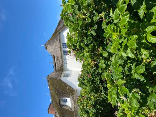 a building is covered in plants and flowers at Ocean-View-II-Holiday-Apartments-Sylt in Rantum