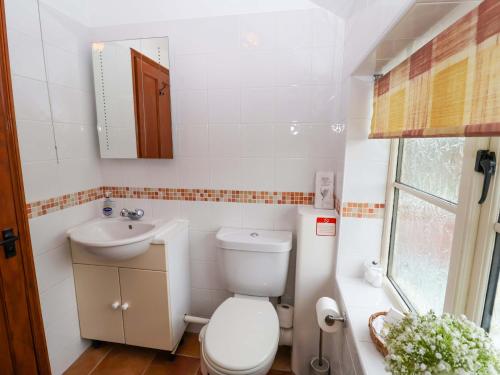 une petite salle de bain avec toilettes et lavabo dans l'établissement Hayloft, à Henley