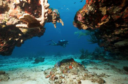 a person swimming in the ocean near the reefs at Appartement climatisé vue sur forêt tropicale - Proche de la mer in Port-Louis