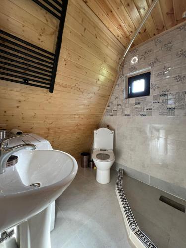 a bathroom with a sink and a toilet at Mestia Sunrise Cottage - 1BR Cosy Stay in Svaneti in Mestia