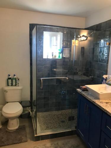 a bathroom with a shower with a toilet and a sink at Byron's Belize Dream in San Pedro