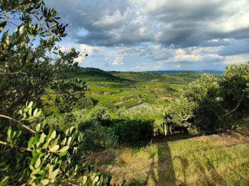 a view of a field from a hill with trees at Soggiorno in Villa - apt n2 with kitchen in Gambellara