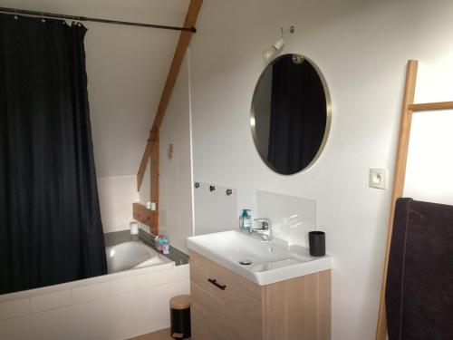 a bathroom with a sink and a tub and a mirror at Chez Nathou in Janzé
