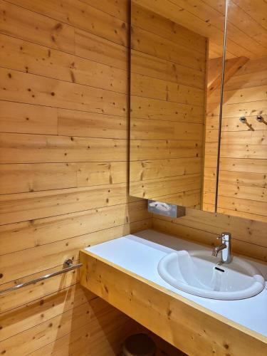 a bathroom with a sink and a wooden wall at Chalet Le lagopède in Villard-Reculas