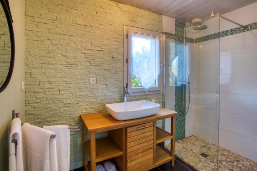a bathroom with a sink and a shower at spa privatif intérieur du lodge -la truffe- le bois de la pause- in Saint-Cybranet