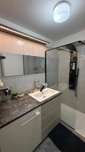 un baño con lavabo y ducha en Modern apartment with sunny terrace, en Niza