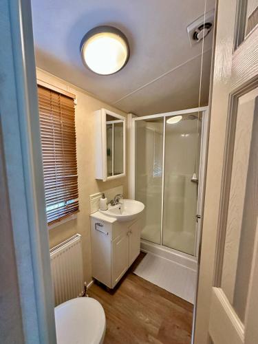 a bathroom with a toilet and a sink and a shower at Relaxing static stay Holiday park in Northampton