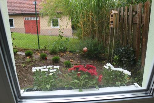 a window view of a garden with flowers in a yard at Ferienwohnung am Kocher-Jagst Radweg in Neuenstadt am Kocher