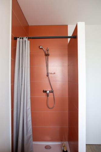 a shower with a shower curtain in a bathroom at Charmant appartement T3 in Roussillon en Isere