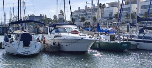 Marina Yatch Hostel