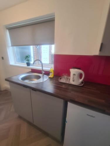 Кухня или мини-кухня в Pallion apartments
