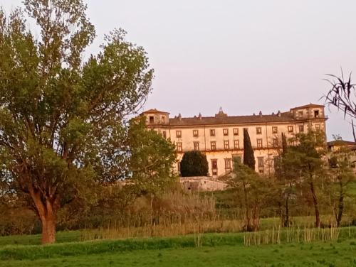 Κήπος έξω από το Villa Borghigiana