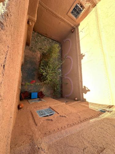 an open door of a building with a plant at Kasbah Ziwana - Guesthouse in Zagora