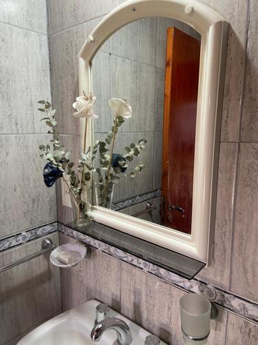 a bathroom sink with a mirror and a vase of flowers at Cabañas Don Quirino II in Concordia