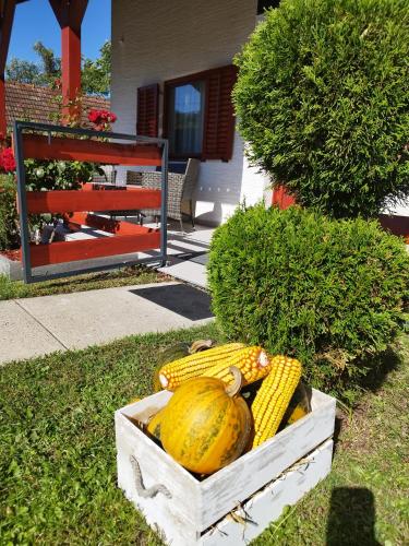 a box of corn on the grass in a yard at Kuća za odmor Ria in Gornja Voća