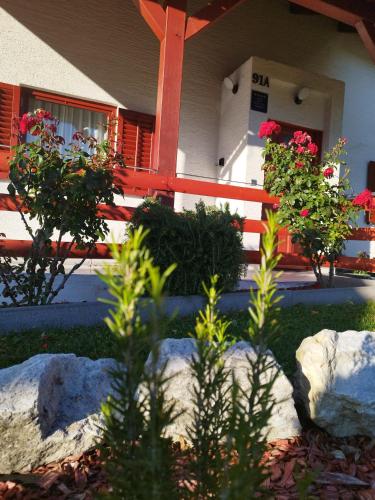a house with a fence and some plants and rocks at Kuća za odmor Ria in Gornja Voća