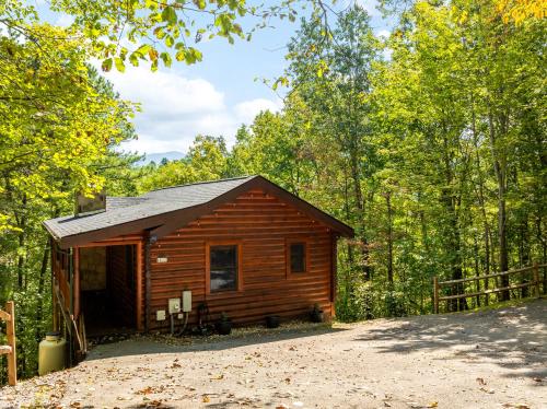 Briar Brook - Private Smoky Mountain Luxury Log Home with 2 Fireplaces, Hot Tub & Community Pool photo 46