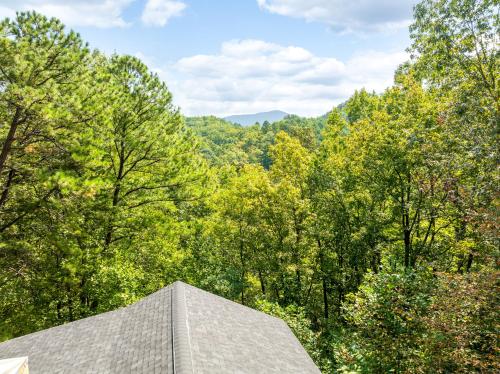 Briar Brook - Private Smoky Mountain Luxury Log Home with 2 Fireplaces, Hot Tub & Community Pool photo 53