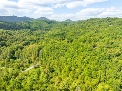 Briar Brook - Private Smoky Mountain Luxury Log Home with 2 Fireplaces, Hot Tub & Community Pool photo 85