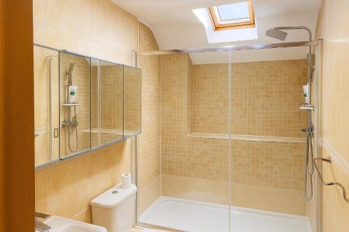 a bathroom with a shower and a toilet at Slavia in Castleknock