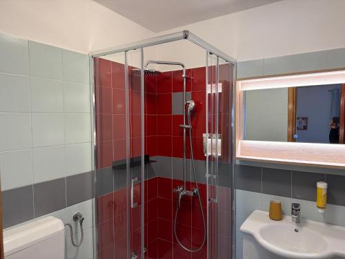 坎普尔Apartments Trlika的浴室配有淋浴和洗手池