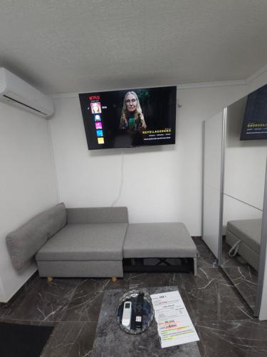 a living room with a couch and a flat screen tv at ENA 1&2 -BIG FREE PRIVAT parking for BOATS, TRUCKs, combi,-CENTRAL HEATING !!! in Karlovac
