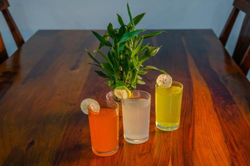 Tragos en Inara Camp