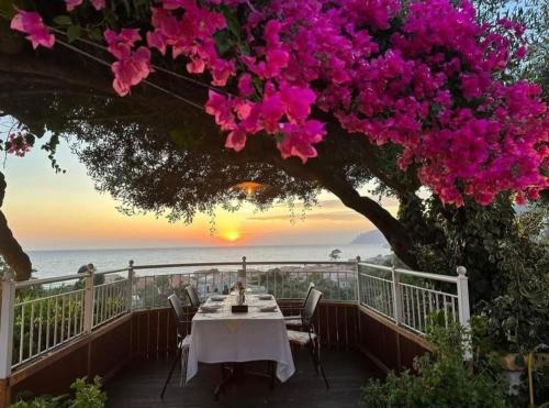 Agios Gordios Stevens on the hill